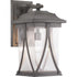 Progress Abbott P560115 020 1 100 Watt LARGE WALL LANTERN in Antique Bronze Finish Model: P560115-020