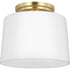Progress Adley P350260 009 1 Light FLUSHMT in Brushed Nickel Finish Model: P350260-009