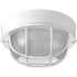 Progress Bulkheads P3709 30 1 100 Watt MED FLUSH MOUNT in White Finish Model: P3709-30