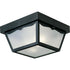 Progress Ceiling Mount P5745 30 2 60 Watt MED CTC CAR PORT in White Finish Model: P5745-30