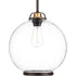Progress Chronicle P5311 20 1 100 Watt MED PENDANT in Antique Bronze Finish Model: P5311-20