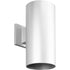 Progress Cylinder P5641 20 1 250 Watt QPAR 38 OD WALL in Antique Bronze Finish Model: P5641-20