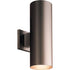Progress Cylinder P5675 20 2 75 Watt PAR 3 BR 30 WALL in Antique Bronze Finish Model: P5675-20
