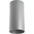 Progress Cylinder P5741 20 1 250 Watt QPAR 38 CTC in Antique Bronze Finish Model: P5741-20
