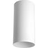 Progress Cylinder P5741 20 1 250 Watt QPAR 38 CTC in Antique Bronze Finish Model: P5741-20
