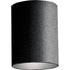Progress Cylinder P5774 20 1 75 Watt PAR 3 BR 30 CTC in Antique Bronze Finish Model: P5774-20