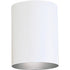Progress Cylinder P5774 20 1 75 Watt PAR 3 BR 30 CTC in Antique Bronze Finish Model: P5774-20