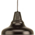 Progress District P5551 20 1 100 Watt MED HANGING LANTERN in Antique Bronze Finish Model: P5551-20