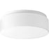 Progress Drums And Clouds P730005 030 30 1 LGT LED SM DRUM in White Finish Model: P730005-030-30