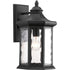 Progress Edition P6072 20 1 100 Watt MED WALL LANTERN in Antique Bronze Finish Model: P6072-20