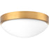 Progress Elevate P350105 015 30 1 17 Watt 3000K FLUSH MOUNT in Polished Chrome Finish Model: P350105-015-30