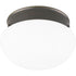 Progress Fitter P3410 09 CLSE TO CLG 2 60 Watt MED in Brushed Nickel Finish Model: P3410-09