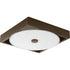 Progress Frame Collection One Light 12 Inch LED Flush Moun Wall Sconce in Architectural Bronze Finish Model: P350026-129-30