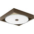 Progress Frame Collection One Light 12 Inch LED Flush Moun Wall Sconce in Architectural Bronze Finish Model: P350026-129-30