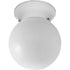 Progress Glass Globes P3605 30 1 60 Watt MED FITTER CTC in White Finish Model: P3605-30