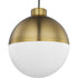 Progress Globe LED P500148 009 30 1 17 Watt LED PENDANT in Brushed Nickel Finish Model: P500148-009-30
