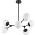 Progress Haas P400308 009 6 Light CHANDELIER in Brushed Nickel Finish Model: P400308-009