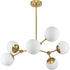 Progress Haas P400308 009 6 Light CHANDELIER in Brushed Nickel Finish Model: P400308-009