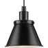 Progress Hinton P500383 009 1 Light MINIPEND METAL in Brushed Nickel Finish Model: P500383-009