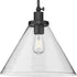 Progress Hinton P500384 009 1 Light LARGE PEND GLASS in Brushed Nickel Finish Model: P500384-009