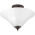 Progress Joy P3855 09 2 100 Watt MED SEMI FLSH in Brushed Nickel Finish Model: P3855-09
