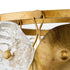 Progress Loretta Collection Six Light in Gold Ombre Transitional Chandelier Model: P400364-204