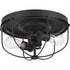 Progress Medal P350195 143 2 60 Watt MED FLUSH MOUNT in Graphite Finish Model: P350195-143