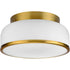 Progress Parkhurst P350255 009 2 Light FLUSHMT in Brushed Nickel Finish Model: P350255-009