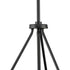 Progress Rivera Collection Four Light in Matte Black Luxe Industrial Chandelier Model: P400354-31M