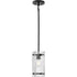 Progress Rivera Collection One Light in Matte Black Luxe Industrial Pendant Model: P500434-31M