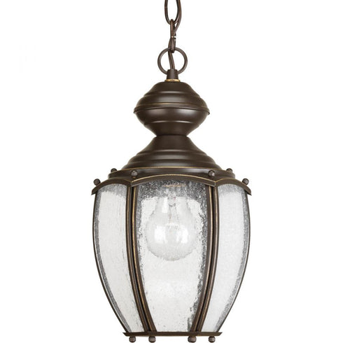 Progress Roman Coach P5565 20 1 100 Watt MED HANGING LANTERN in Antique Bronze Finish Model: P5565-20