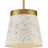 Progress Terrazzo P500313 143 1 75 Watt MED PENDANT in Graphite Finish Model: P500313-143