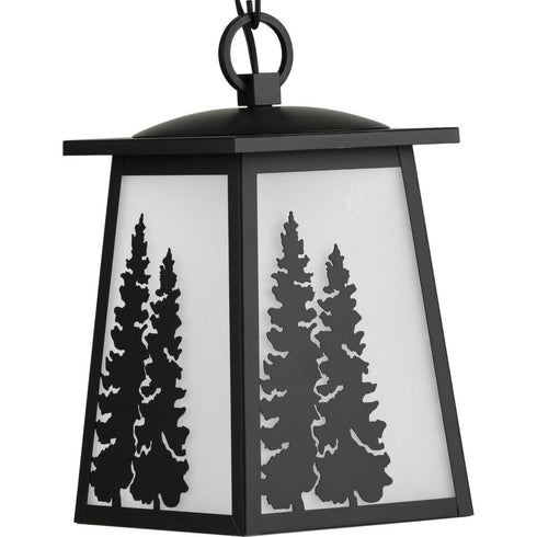 Progress Torrey Collection in Antique Bronze One Light Hanging Lantern Model: P550060-020