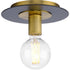 Progress Trimble P350247 009 1 Light FLUSHMT in Brushed Nickel Finish Model: P350247-009