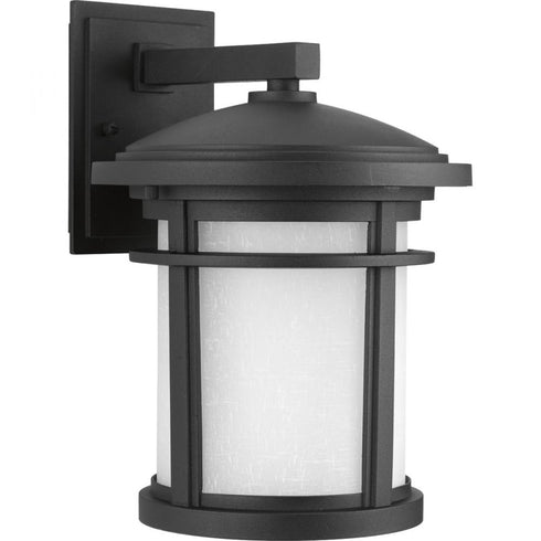 Progress Wish P6085 20 1 100 Watt MED WALL LANTERN in Antique Bronze Finish Model: P6085-20