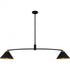 Quoizel Alscott 2 Light in Matte Black Linear Chandelier Model: ALS252MBK