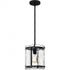 Quoizel Fortress Mini Pendant in Earth Black Finish Model: FTS1509EK