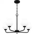 Quoizel Nielson Chandelier in Matte black Finish Model: NIE5025MBK