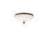 Schonbek Roma 12IN LED 3000 3500 4000K 120V Flush Mount in Aged Brass with Optic Crystal Model: S6012-700O