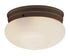 Trans Globe 10 Inch Marbleized Glass Only Model: 3621 OG