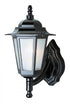 Trans Globe Alexander Outdoor 1 Light Frosted Glass And Model: 4055 BC