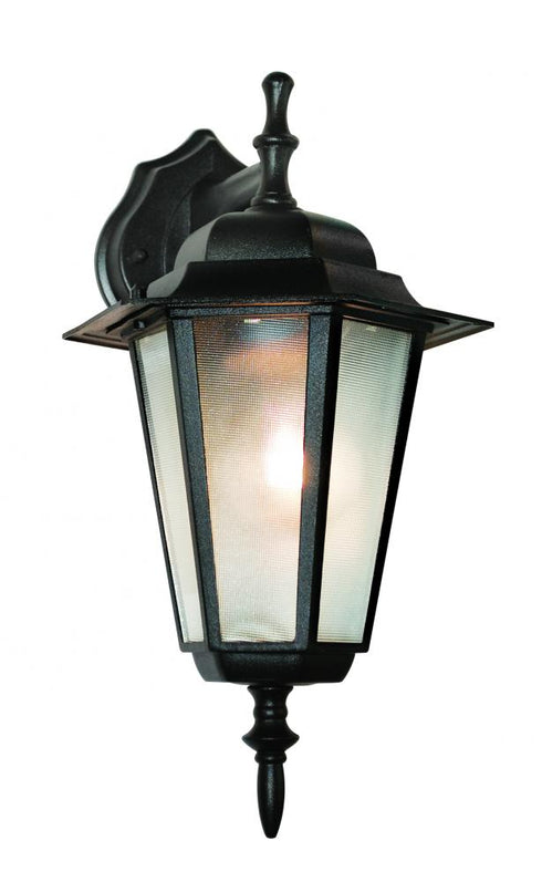 Trans Globe Alexander Outdoor 1 Light Frosted Glass And Model: 4056 BC