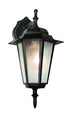 Trans Globe Alexander Outdoor 1 Light Frosted Glass And Model: 4056 BC