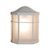 Trans Globe Andrews 1 Light Frosted Glass Flush Mount Model: 4484 SWI
