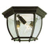 Trans Globe Angelus 4 Light BENT GLASS FLUSHMOUNT in Black Finish Model: 4907 BK