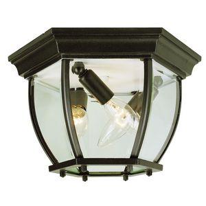 Trans Globe Angelus 4 Light Beveled Glass Outdoor Flush Model: 4907 BG