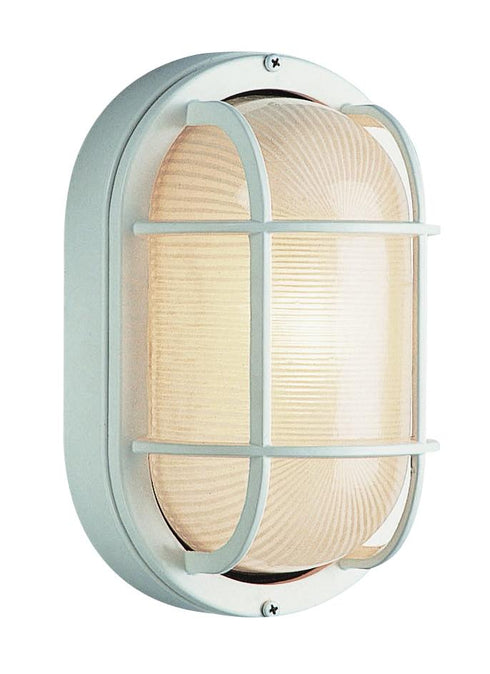 Trans Globe Aria 1 Light Caged Ribbed Glass Bulkhead Model: 41005 WH