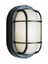 Trans Globe Aria 1 Light Caged Ribbed Glass Bulkhead Model: 41005 WH