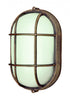Trans Globe Aria 1 Light Caged Ribbed Glass Bulkhead Model: 41005 WH