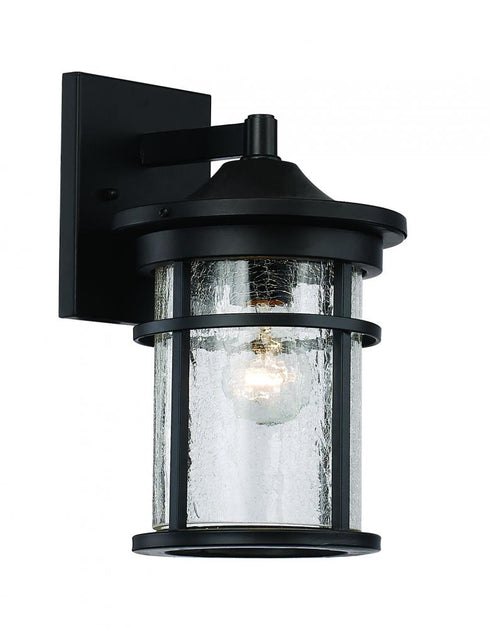 Trans Globe Avalon Crackled Glass Armed Outdoor Wall Model: 40380 BK